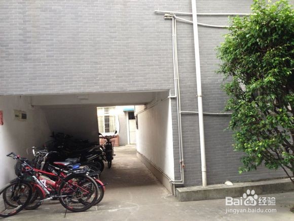 南华工商学院黄埔校区校园图片全攻略