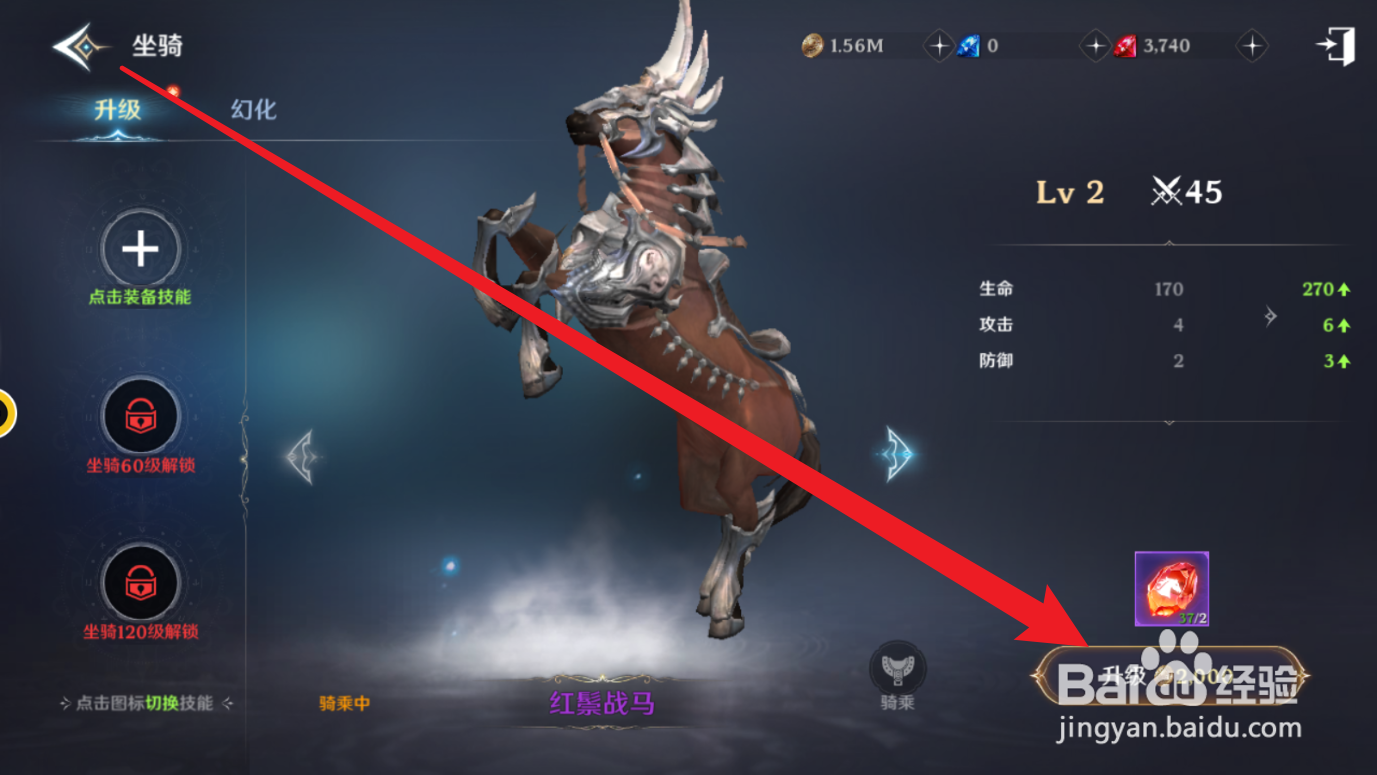 无神之界中坐骑等级怎么提升