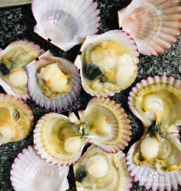 蒜蓉粉丝蒸扇贝的做法
