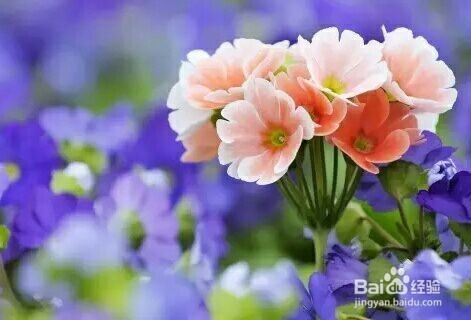 怎样才能不会晕车 晕车能治好吗