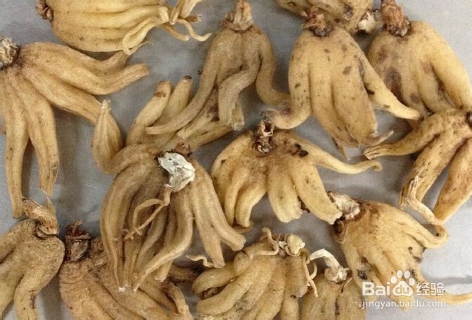 西藏旅游怎么购物?