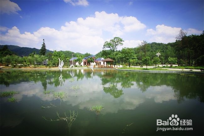 九龙江风景区旅游景点攻略