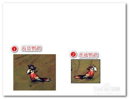 饥荒海难鹦鹉怎么抓