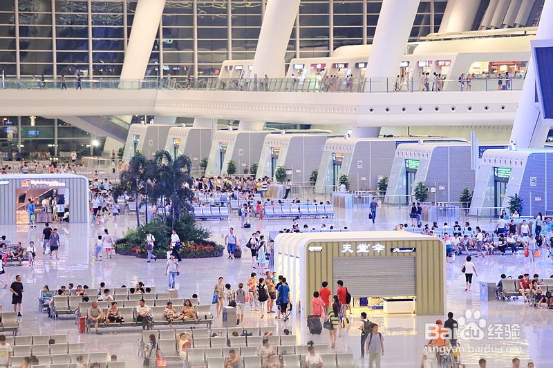 探寻神秘喀纳斯,寻找湖中的秘密-新疆之旅