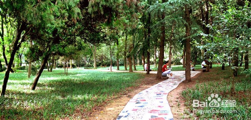 安徽农业大学校园聚会&约会精选场地