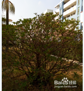 孩子不吃饭的几个小妙招