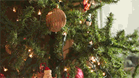 如何装饰圣诞树？