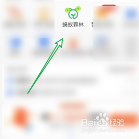 支付宝如何进入蚂蚁森林的背包