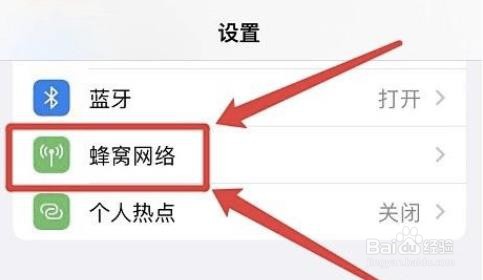 怎么看iphone上月已用蜂窝数据?