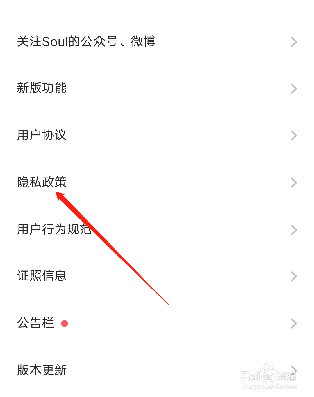 Soul怎样查看隐私政策