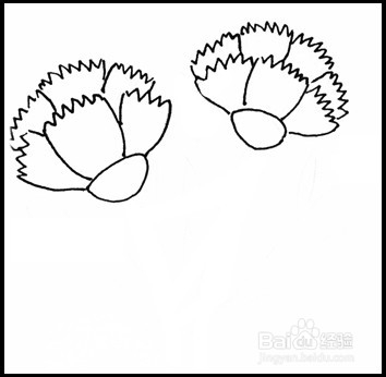 怎样画简笔画（花卉）：[10]康乃馨