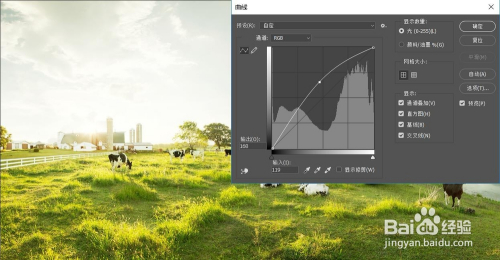 PS里曲线工具的使用技巧