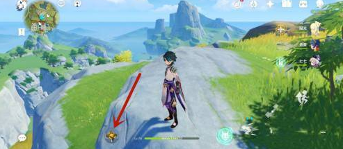 原神雷神瞳共鸣石怎么用