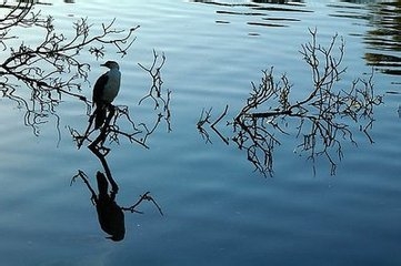 怎样做一个成功人士？