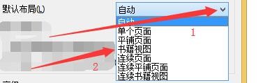 如何设置Smart PDF阅读器启用书籍视图