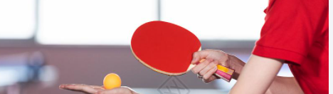 学打乒乓球的基本动作有哪些