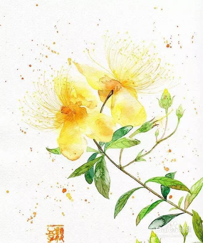 单反怎样拍出好看的菊花