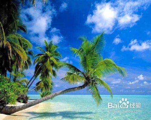 2012澳大利亚旅游多少钱