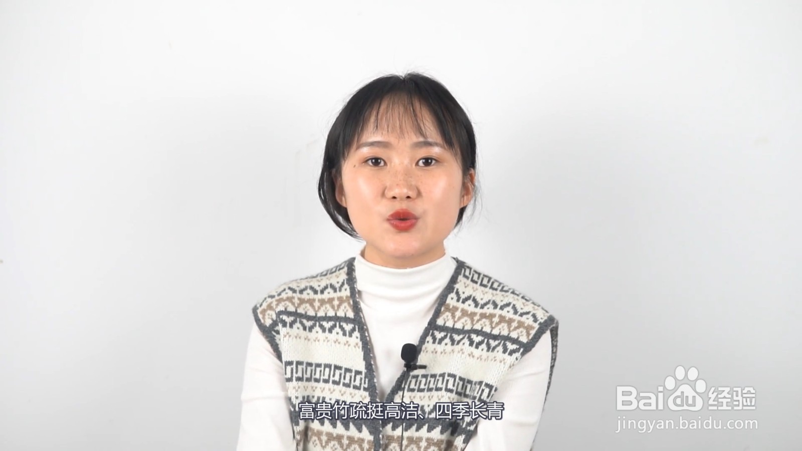 适合客厅养的植物