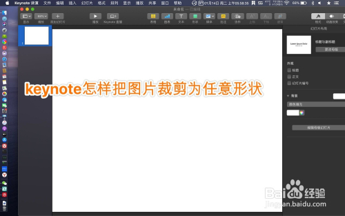 keynote怎样把图片裁剪为任意形状