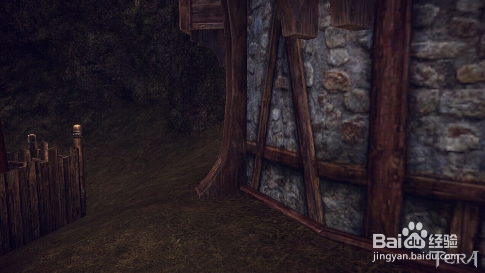 TERA（神谕之战）怎么隐藏游戏UI界面进行截图