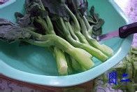 白灼（zhuó）芥蓝的做法