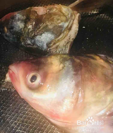 简易版鱼头炖粉皮