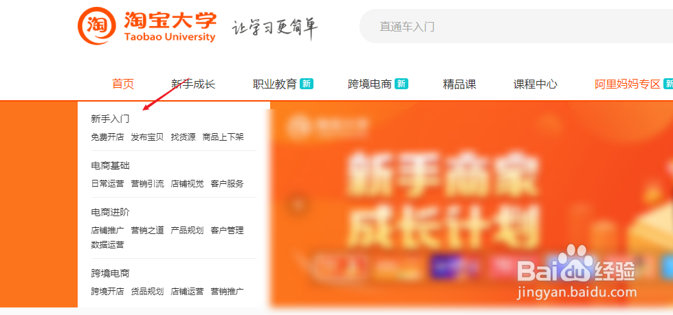 新手电商怎么做