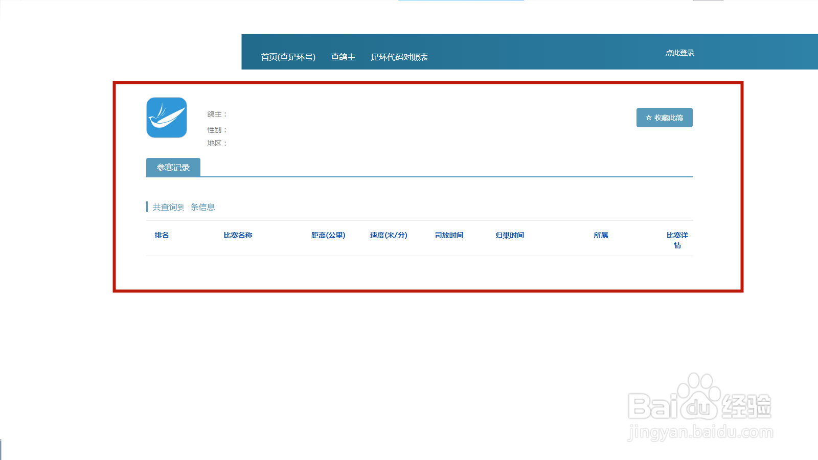 鸽子号码查询信息流程