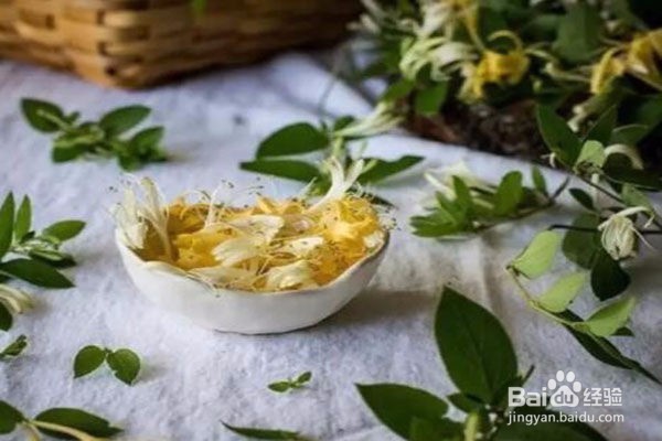 感冒了吃什么好的快,感冒初期怎么压下去