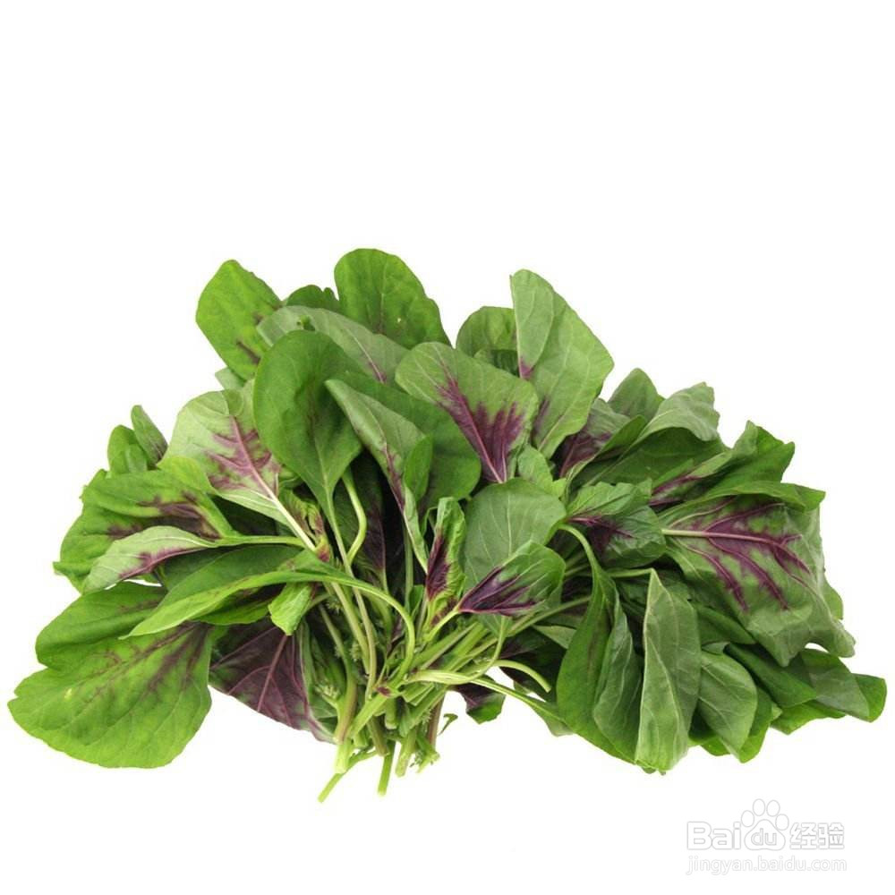 维生素C最多的十大蔬菜_维生素C含量蔬菜TOP10