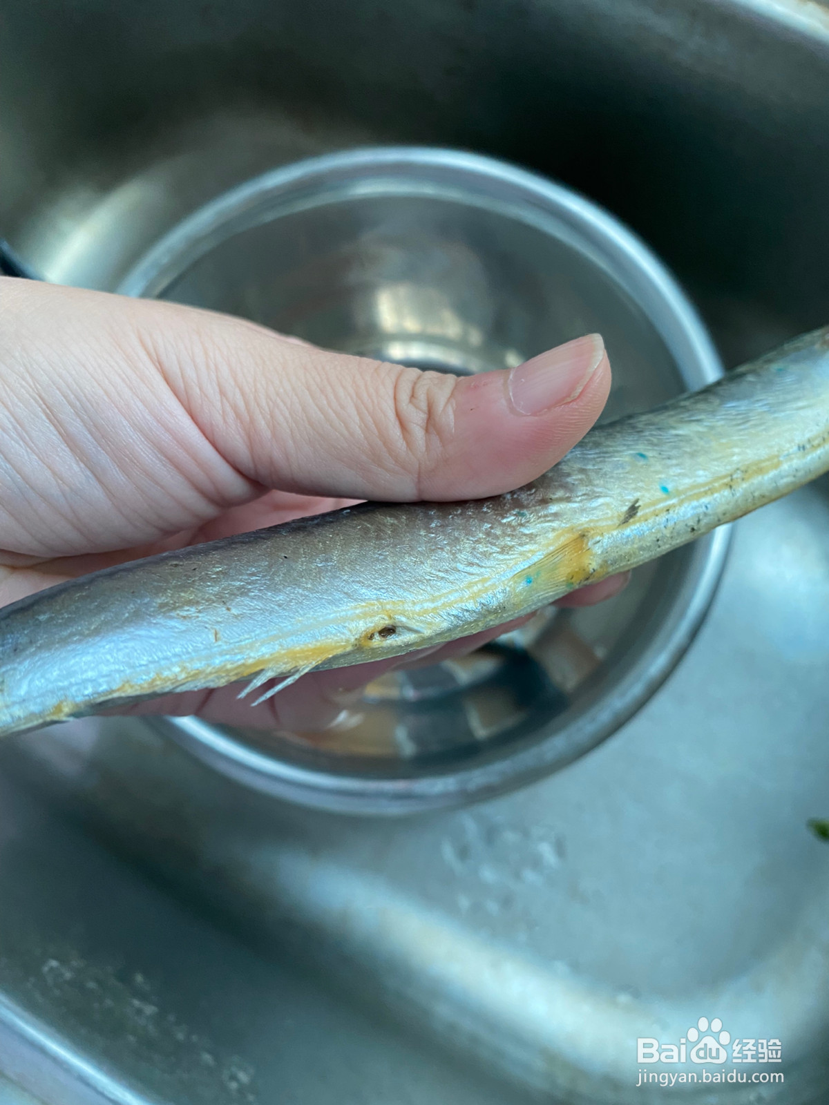 香煎秋刀鱼的做法