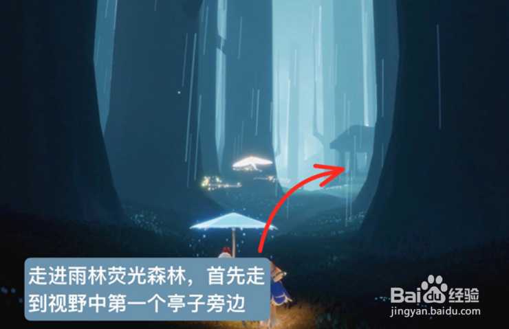 光遇雨林跺脚先祖位置