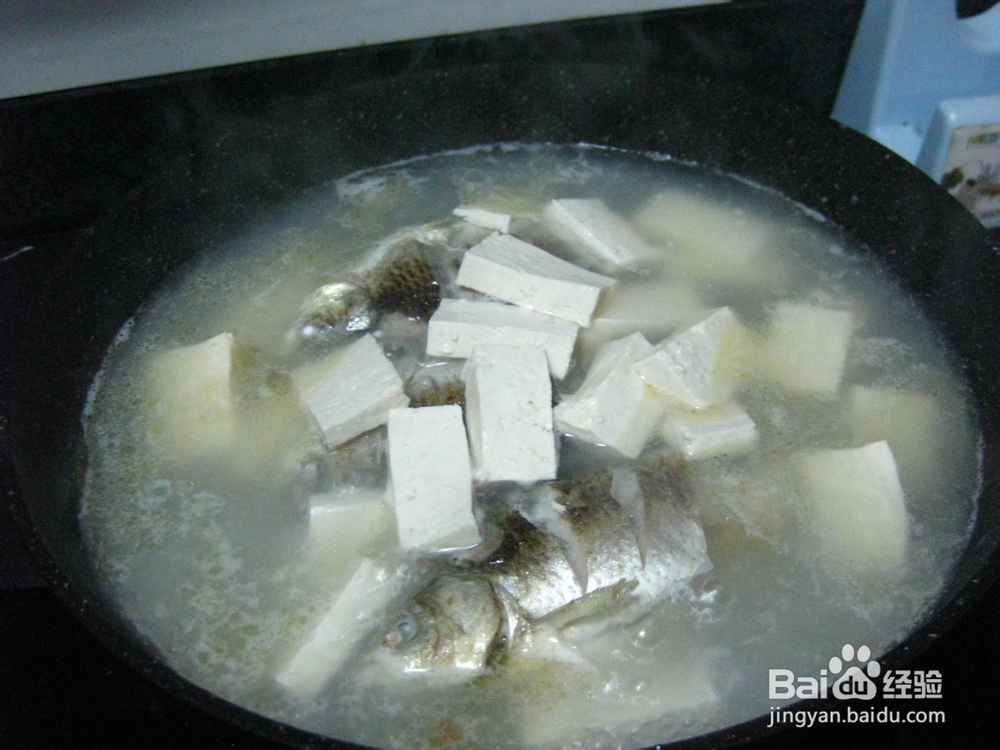 怎样炖出奶白色的鲫鱼汤——鲫鱼炖豆腐