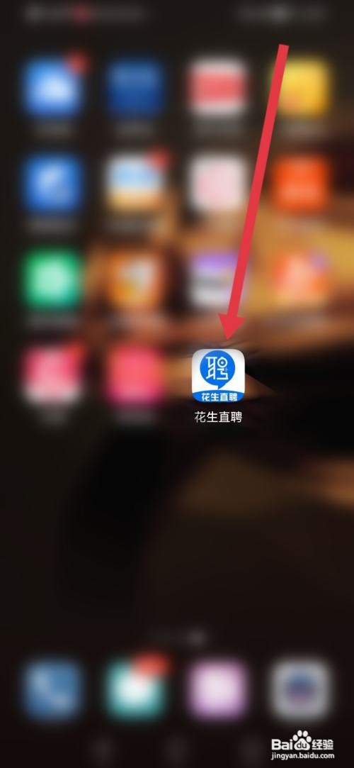 花生直聘在哪里填写个人简历