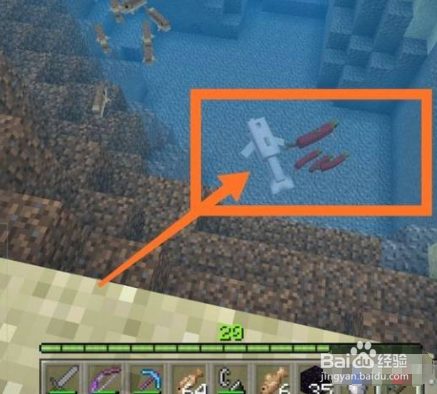 我的世界海豚怎么养