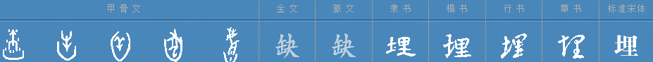 埋粤语什么意思