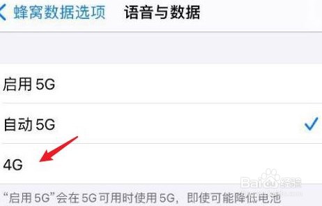 iPhone12如何设置4g网络