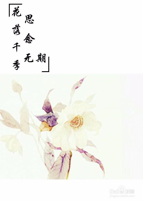 (苏静婉)教程.素锦.封面.醉月秋色花凋零人易散