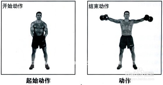 怎样锻炼胸肌?