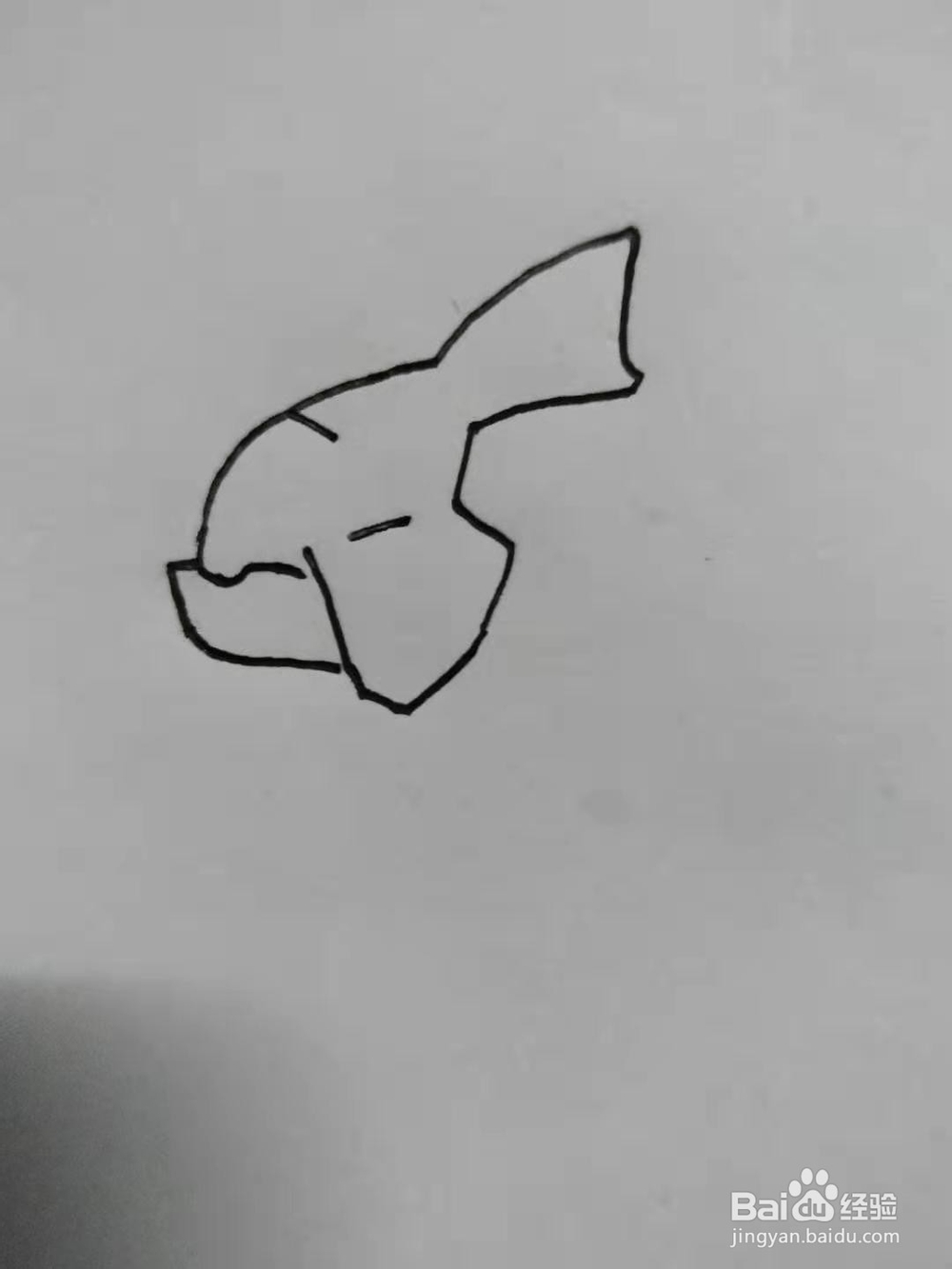 《口袋妖怪》古空棘鱼手绘怎么画？