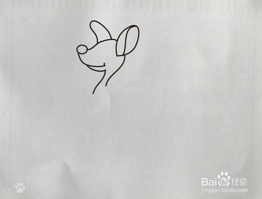 【简笔画】袋鼠的简笔画