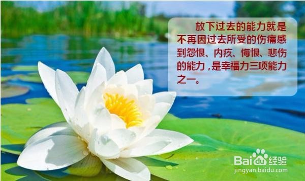 人这一生应该放下什么？