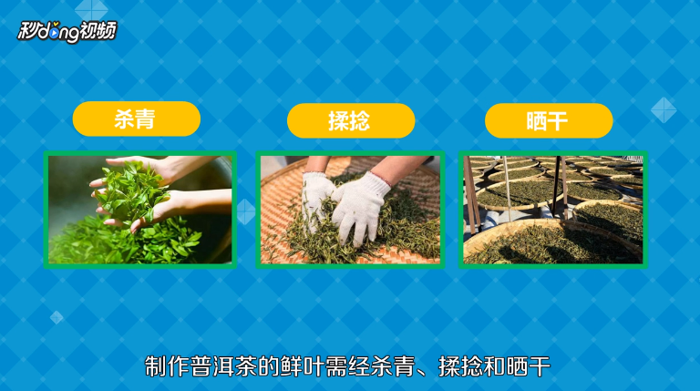 普洱茶的特点有哪些？