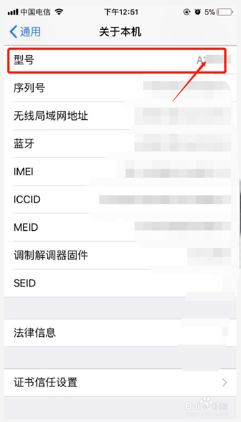 苹果11型号怎么看
