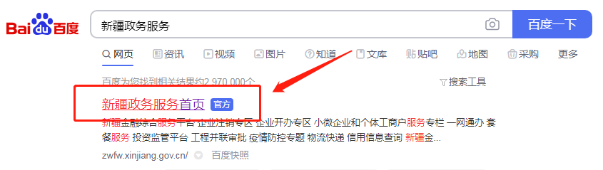 新疆政务服务用户账号怎么填写