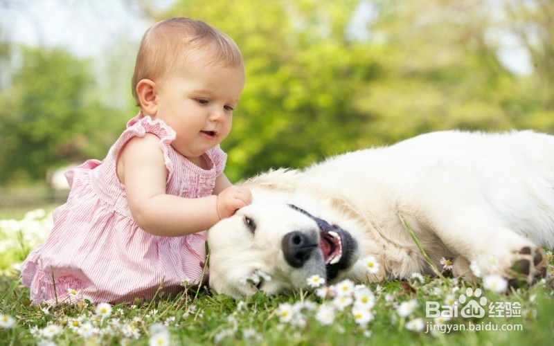 宝宝虽小有想法，爸妈做这些事最伤宝宝