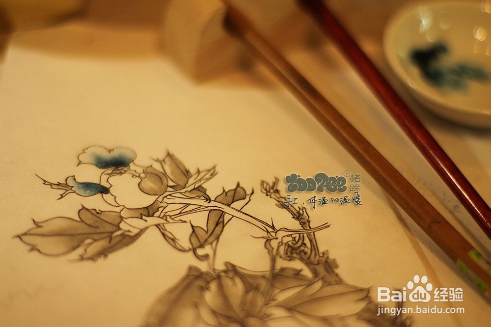 国画工笔花卉技法，起稿上色步骤图以及笔的选择