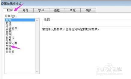 Excel设置单元格的文本格式方法