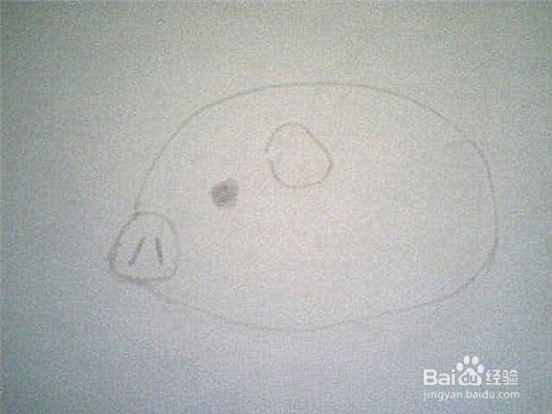 简笔画猪的画法: